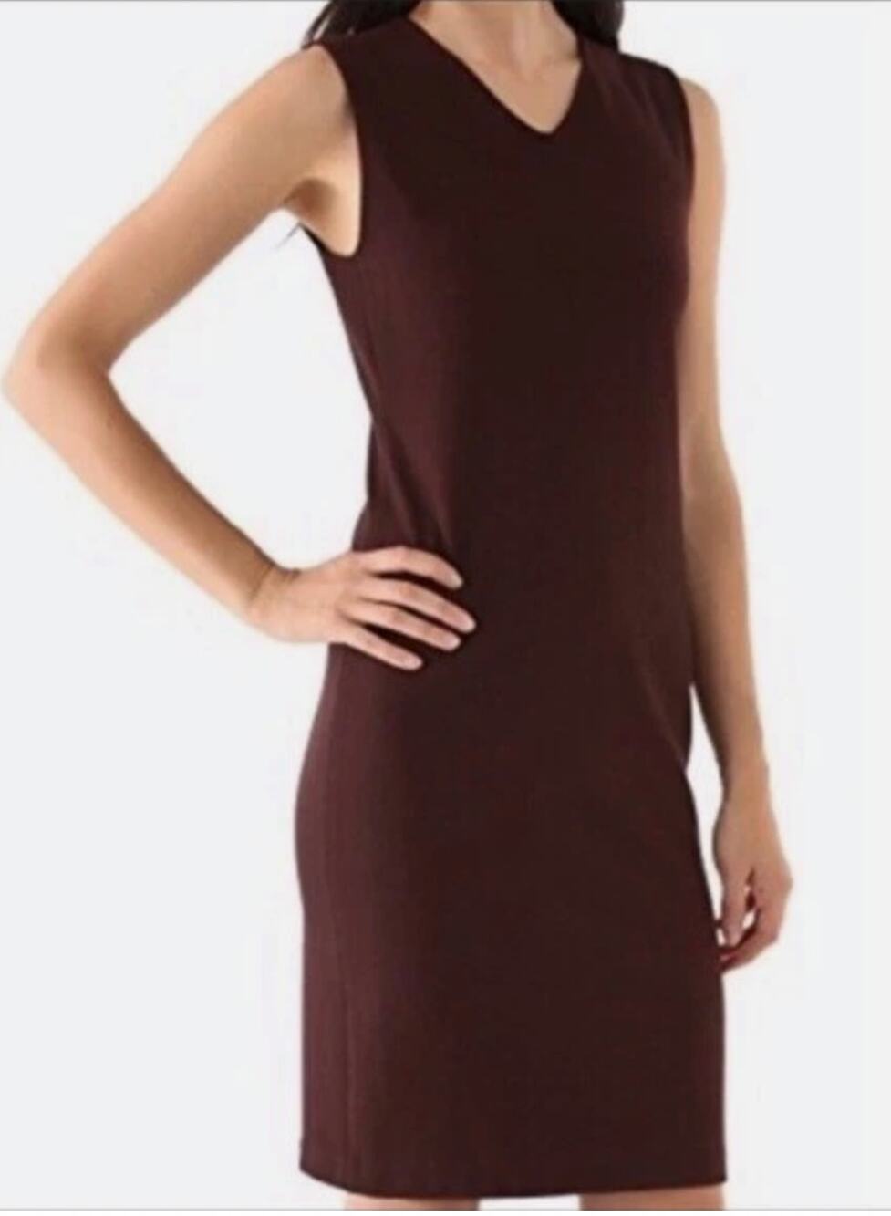 Vince Brown/Raisin Shift Dress